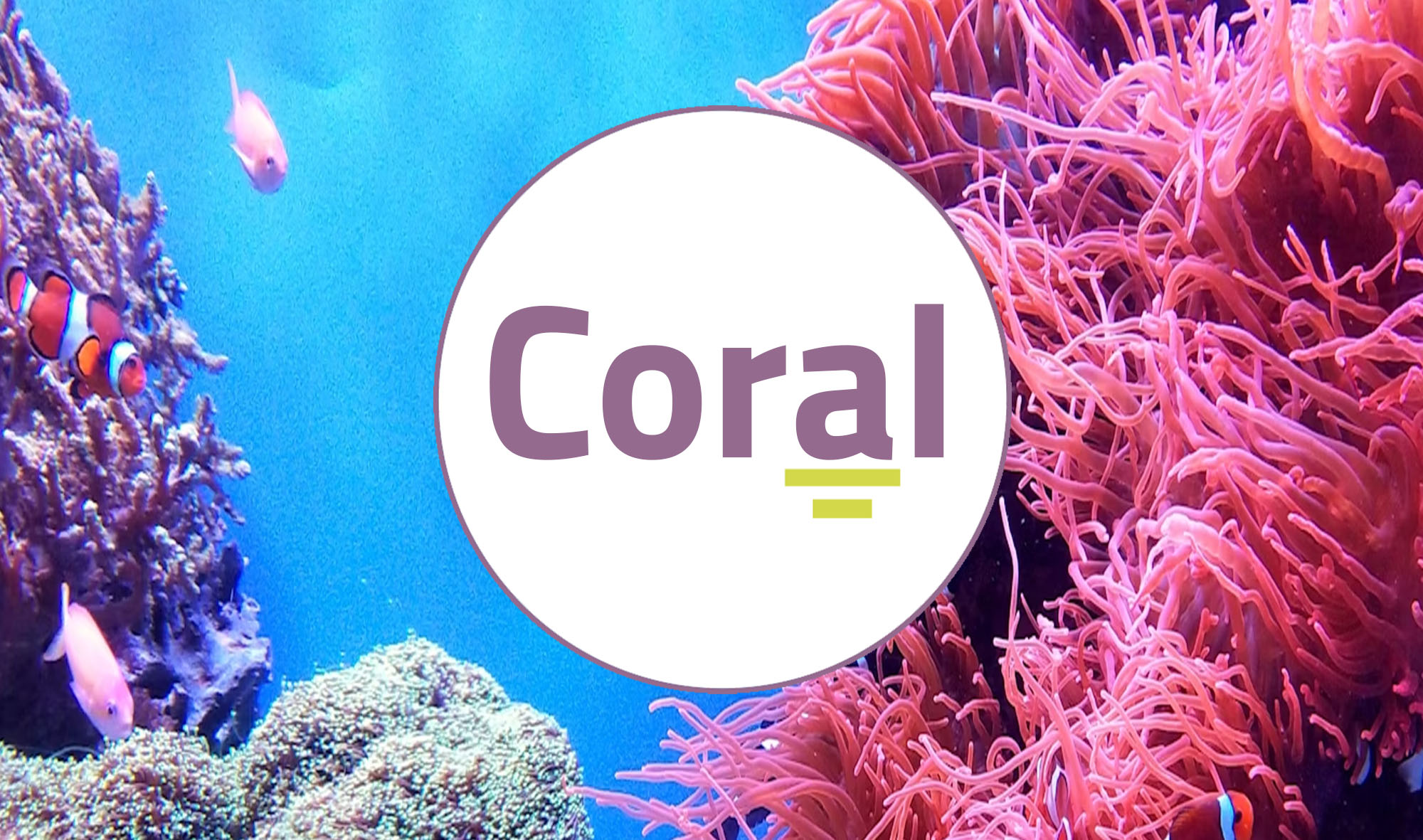 Las competencias orales y el aprendizaje de lenguas en el S.XXI (CORAL) (1ed. 2025) CORAL_001