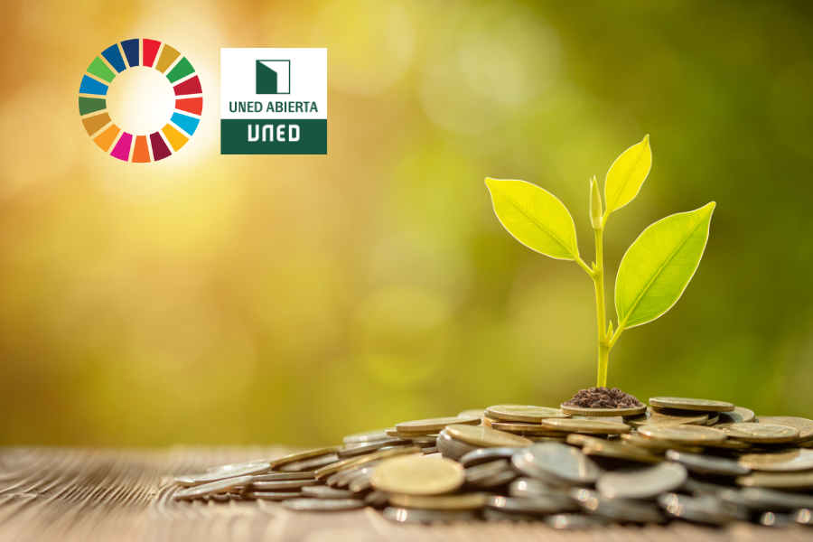 The Role of Socially Responsible Investments in achieving Sustainable Development Goals (2ed. 2021) RoleSocResInv_002